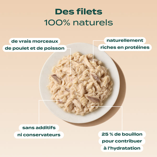 poulet-amp-thon