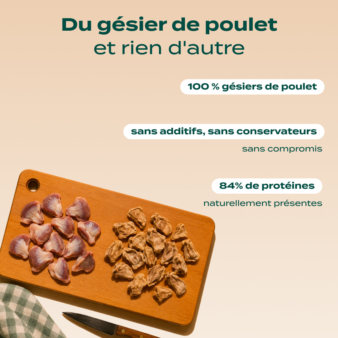 SNACK GÉSIER DE POULET