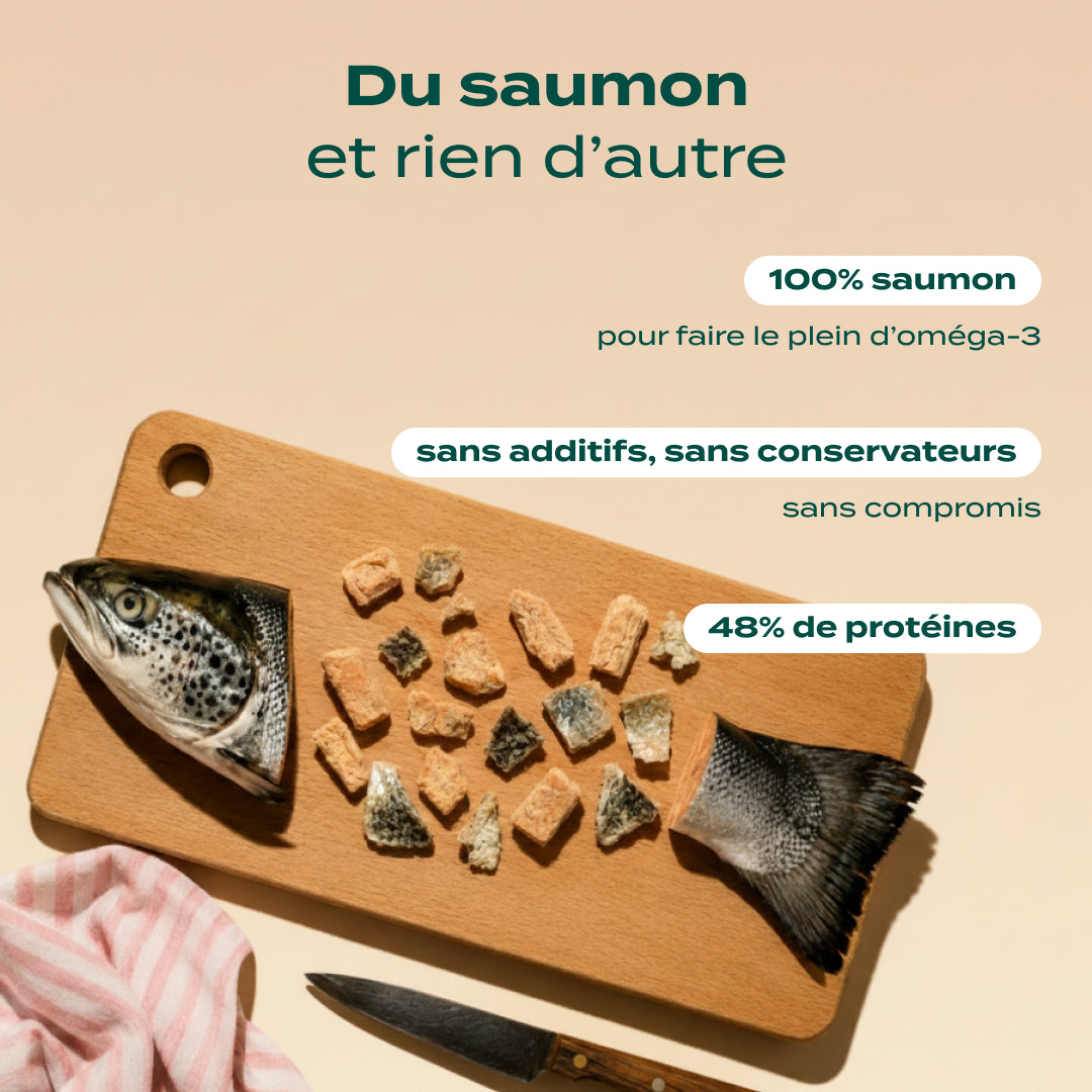 SNACK SAUMON
