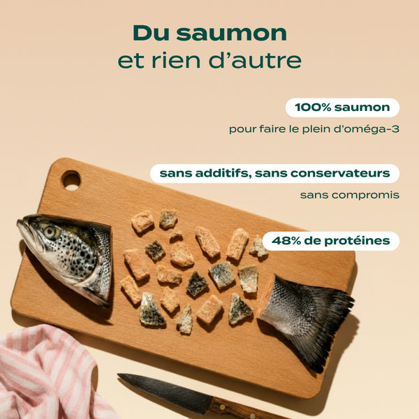 snack-saumon
