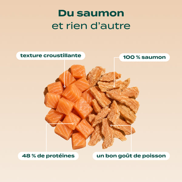 duo-snack-sauvage