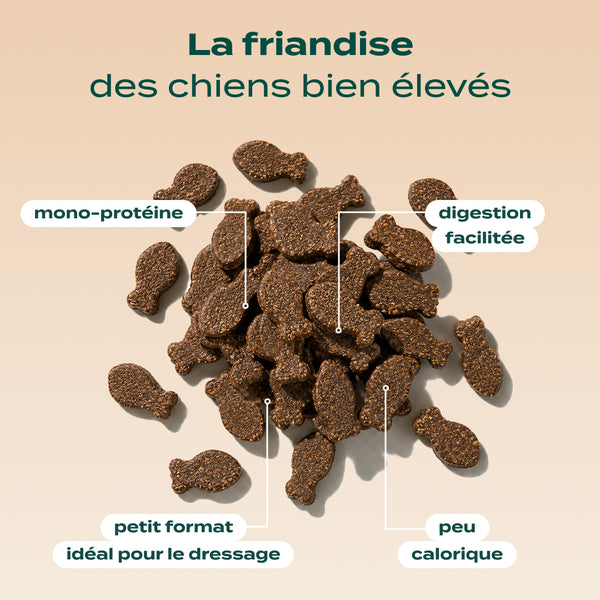 dressage-truite