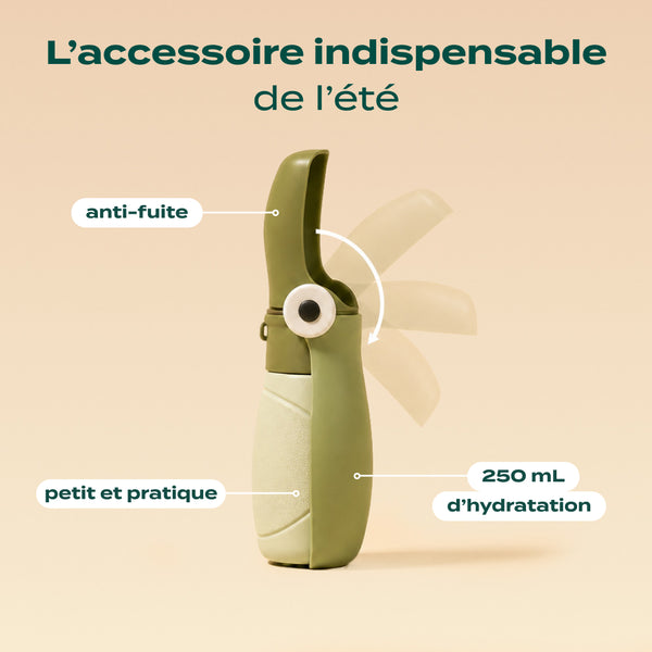 gourde-chien