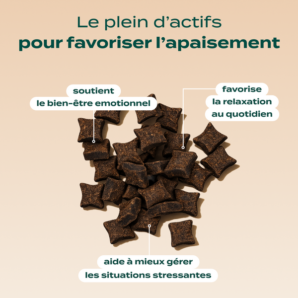 pack-decouverte-anti-stress-chien