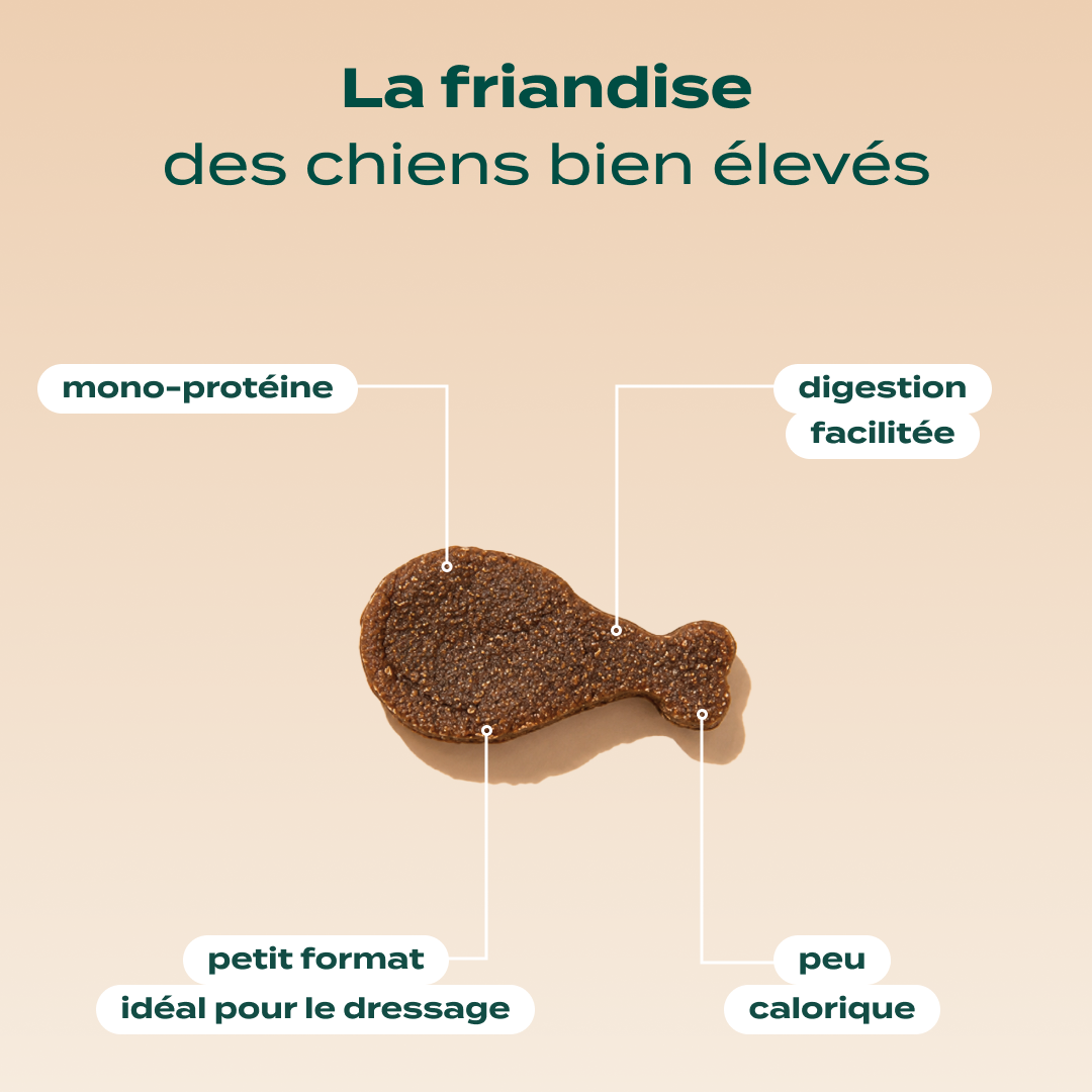 DRESSAGE CANARD