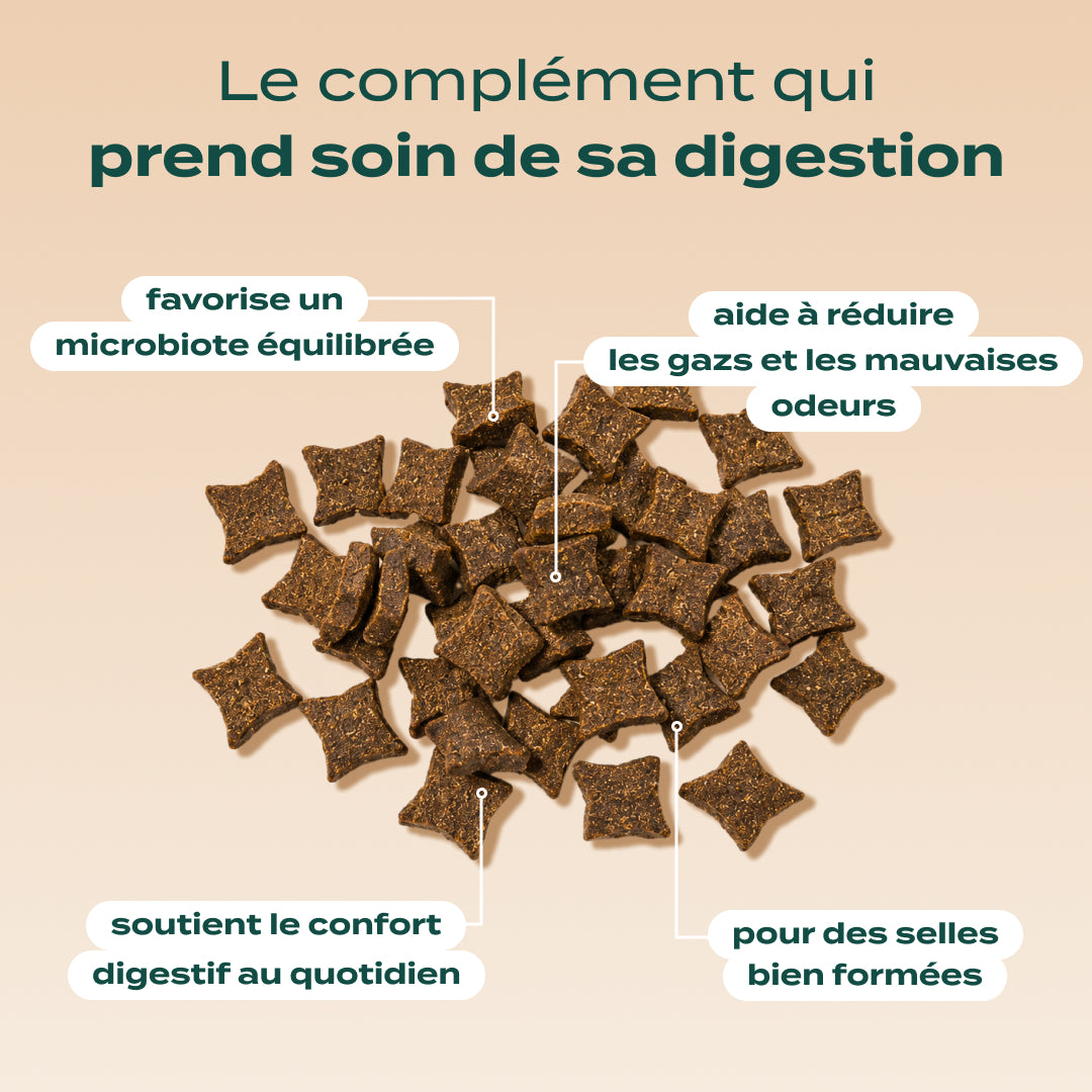 GUMMIES PROBIOTIQUES