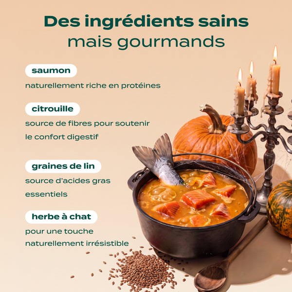 bouchees-ensorcelees-saumon-citrouille