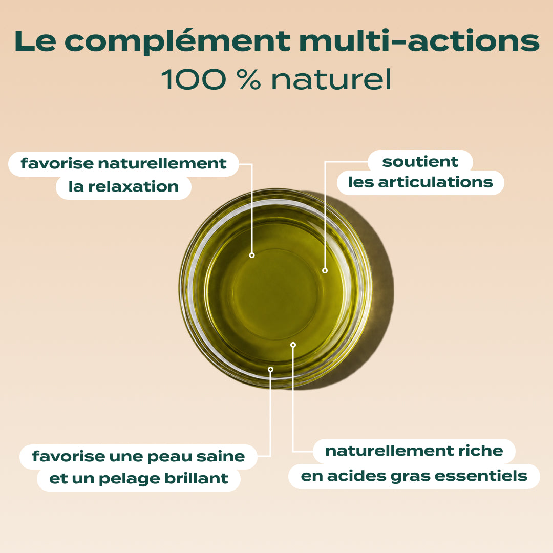 HUILE DE CHANVRE BIO
