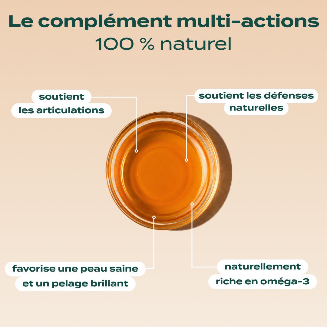 HUILE DE SAUMON