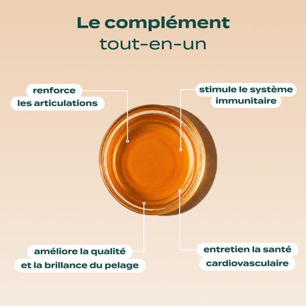 huile-de-saumon