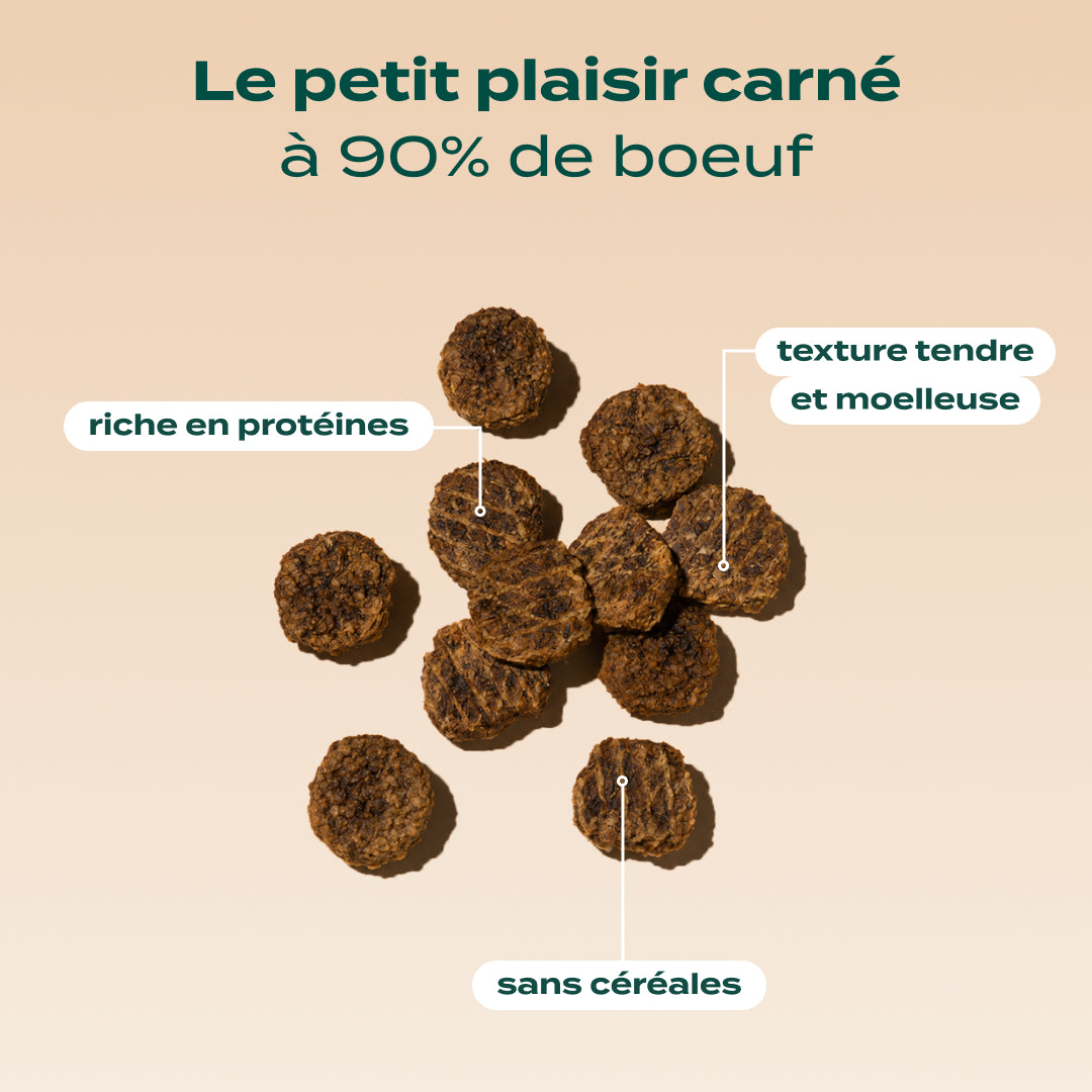 BOEUF SÉCHÉ BARBECUE