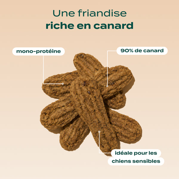 trio-viande-sechee
