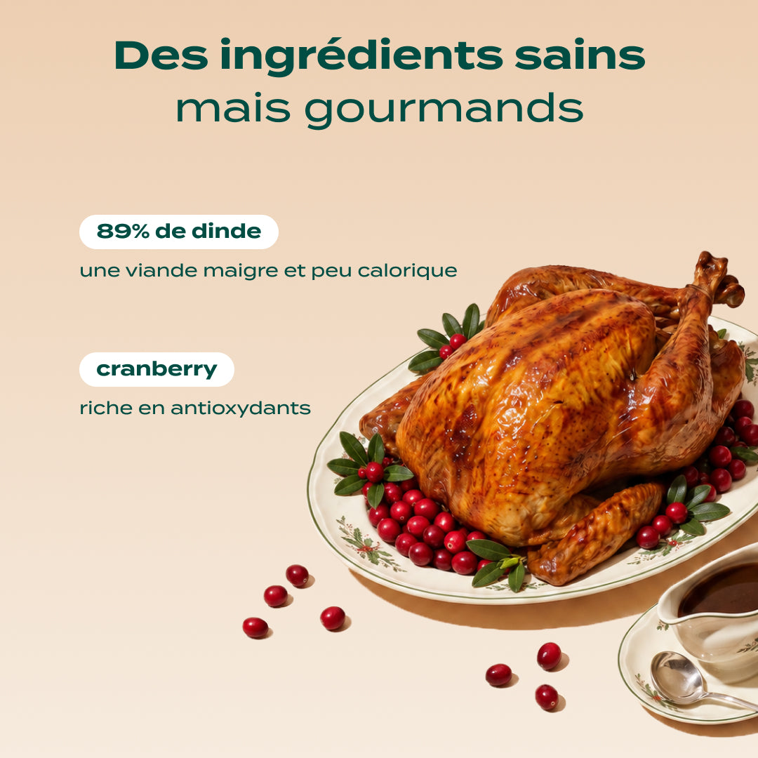 RITUELS D'HIVER DINDE, CRANBERRY