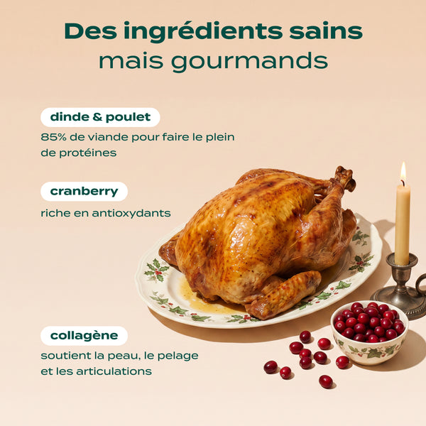 rituels-d-39-hiver-dinde-cranberry
