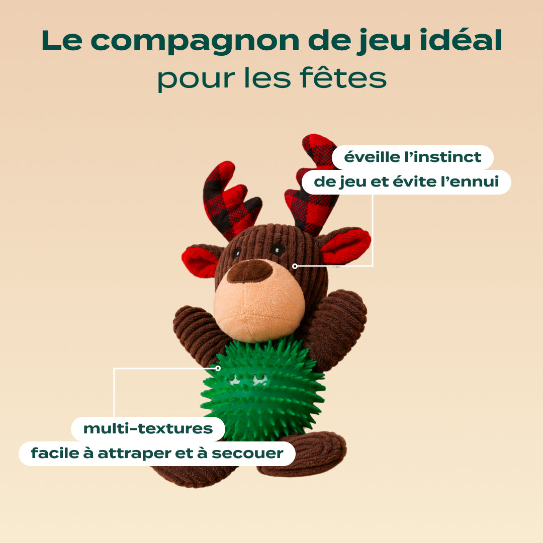 RENNE DE NOËL