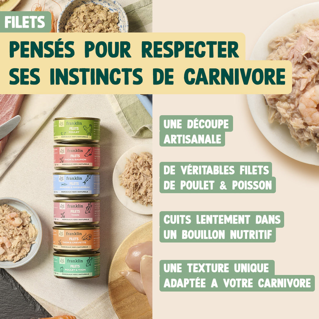 PACK DÉCOUVERTE CHAT