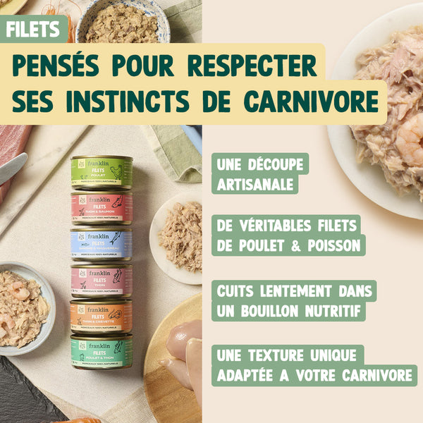 pack-decouverte-chat