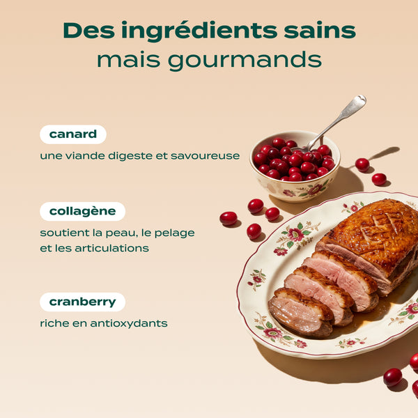 noel-gourmand-canard-cranberry