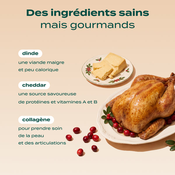 noel-gourmand-dinde-cheddar