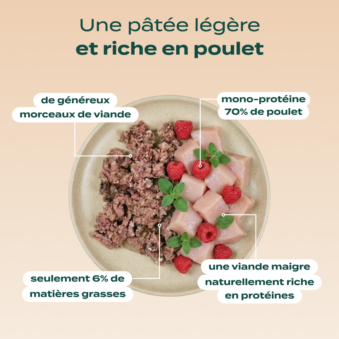 TRIO 3 SAVEURS PÂTÉES