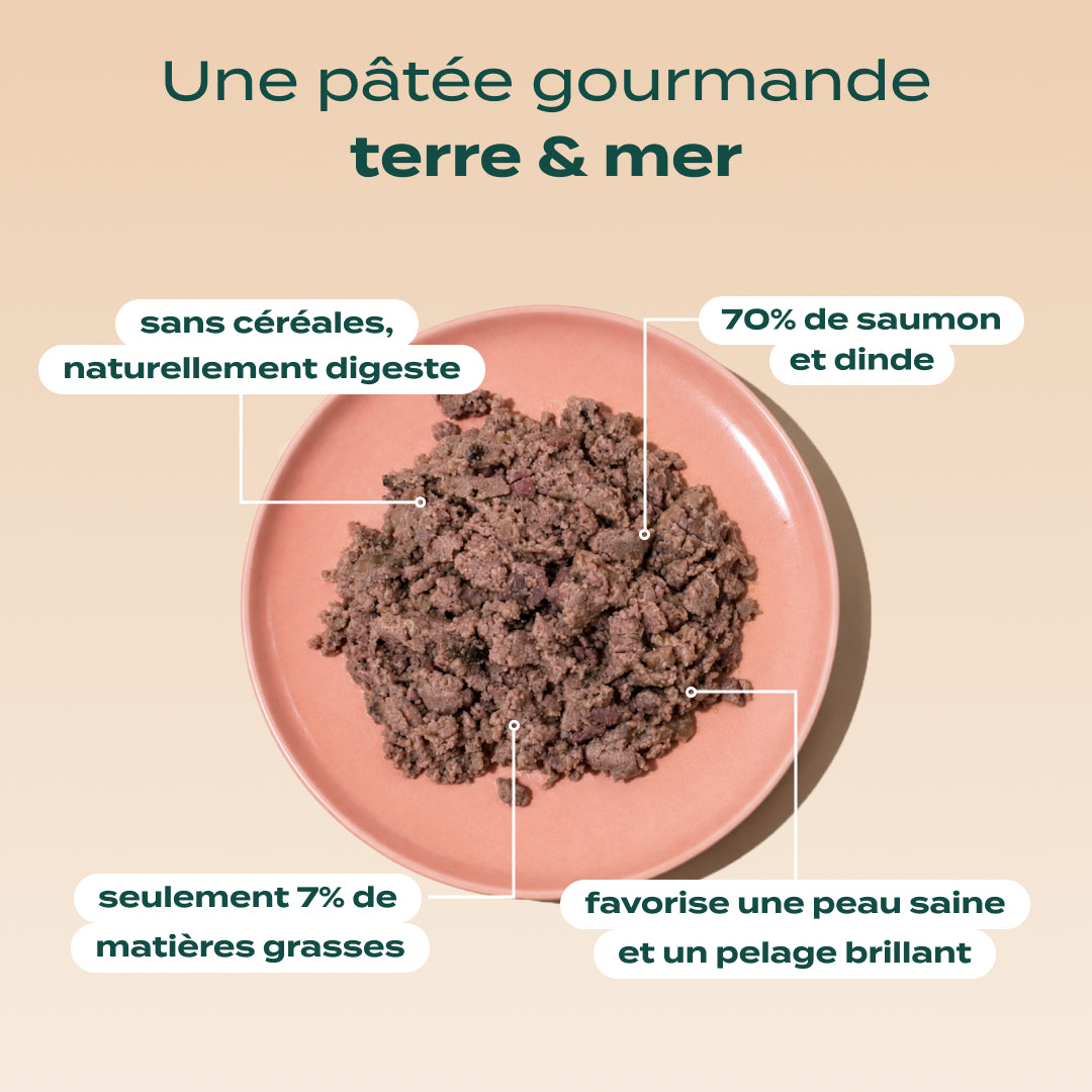 SAUMON, DINDE, CANNEBERGE