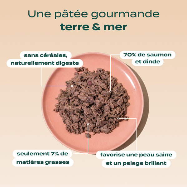 saumon-dinde-canneberge