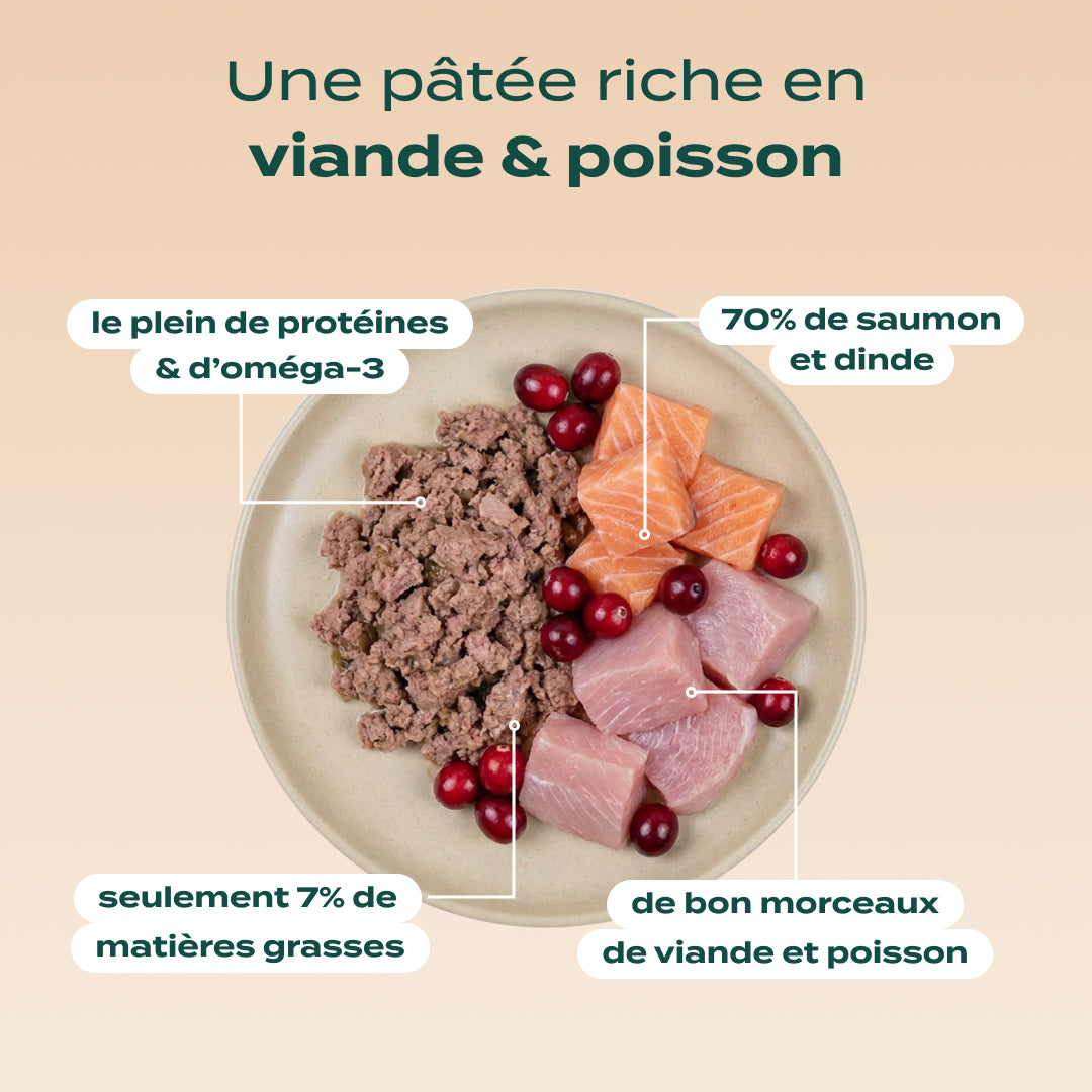 TRIO 3 SAVEURS PÂTÉES