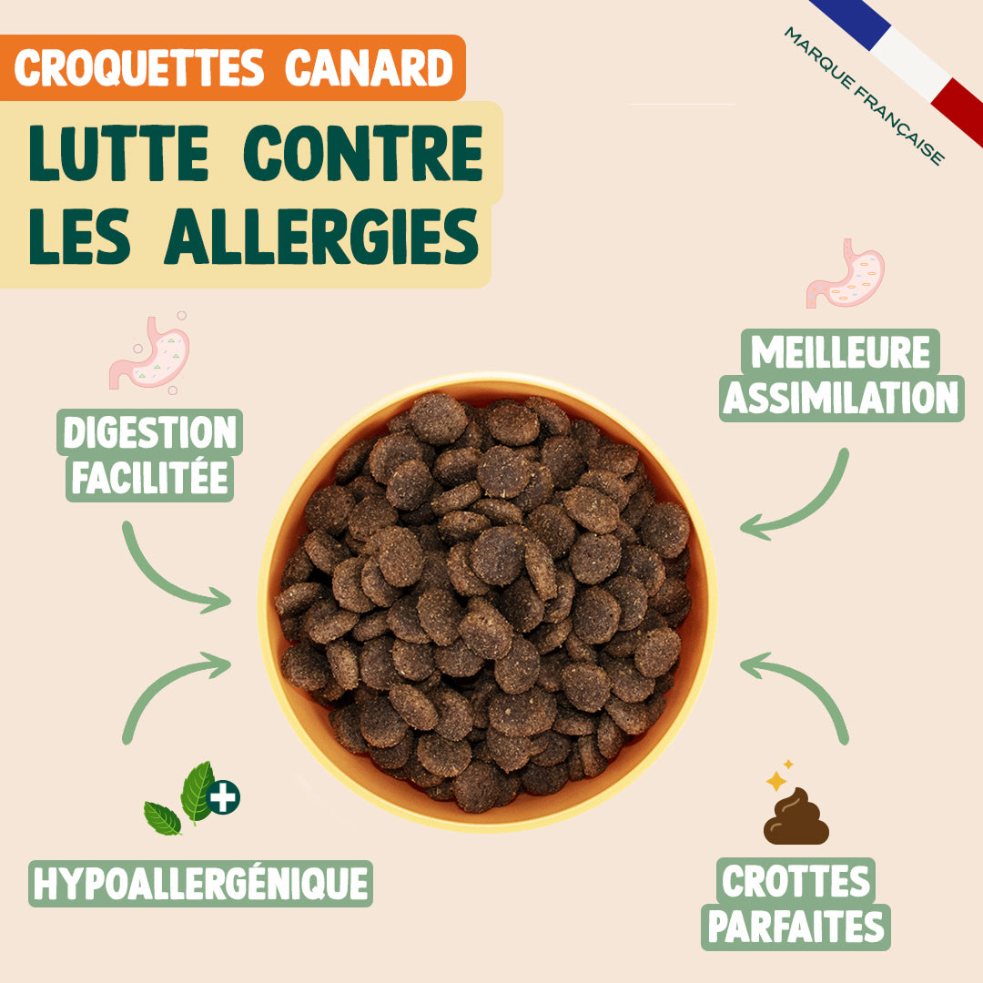 PACK DÉCOUVERTE CHIEN