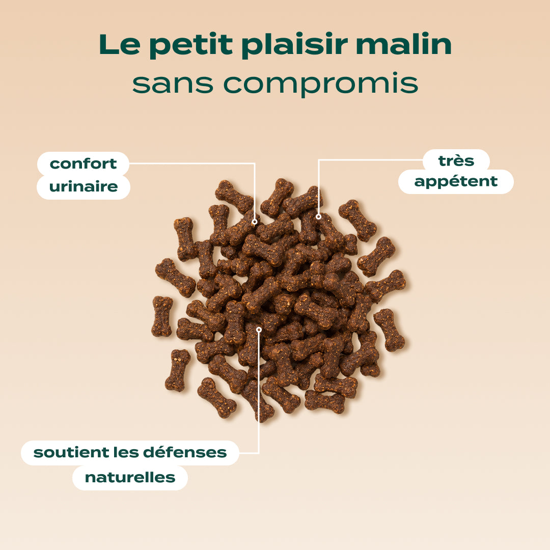 MINI SNACK URINAIRE