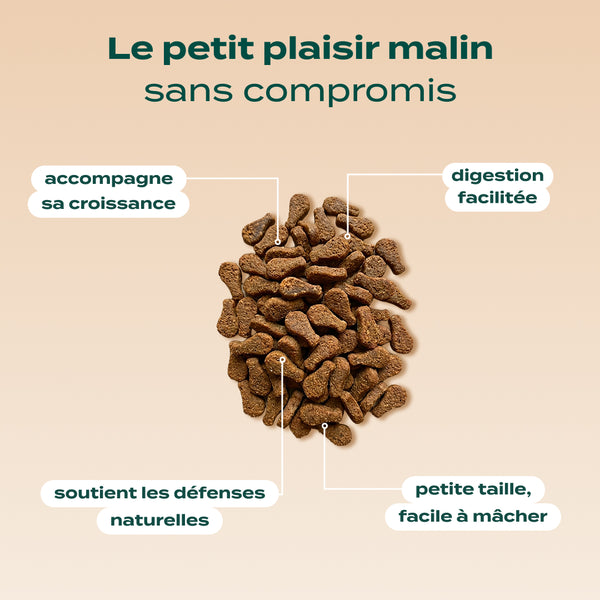 mini-bouchees-poulet