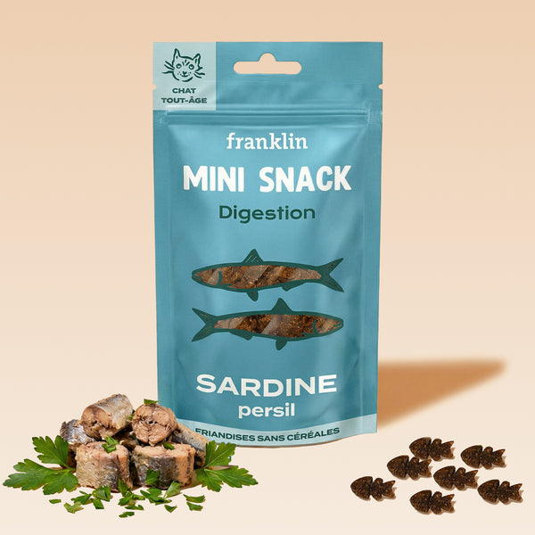 mini-snack-digestion