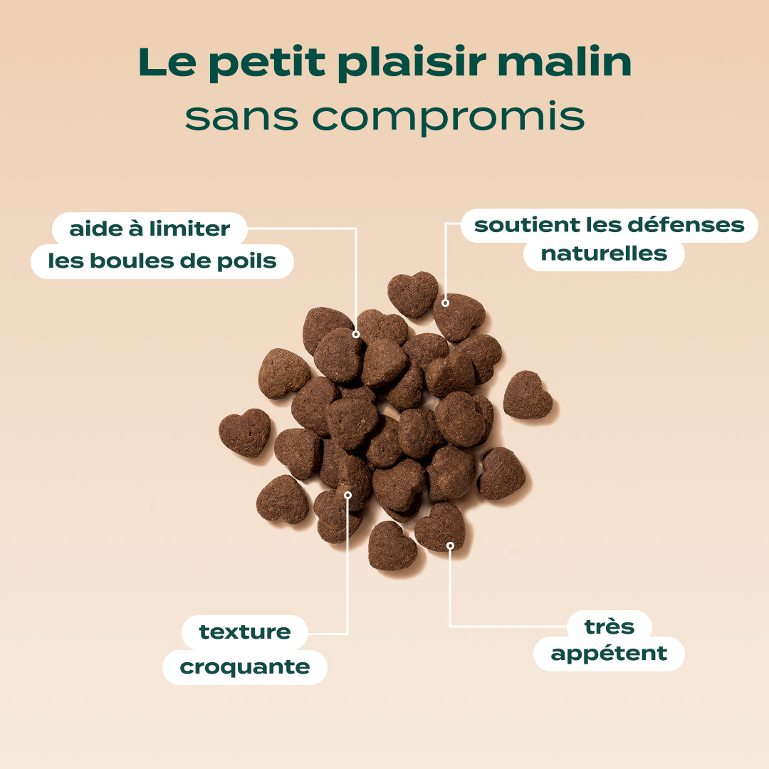 BISCROC' ANTI BOULES DE POILS
