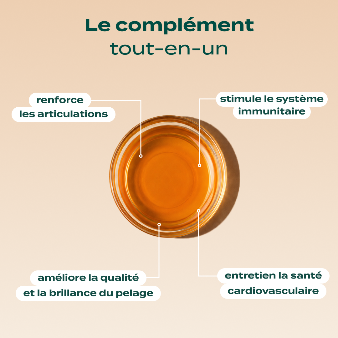 HUILE DE SAUMON