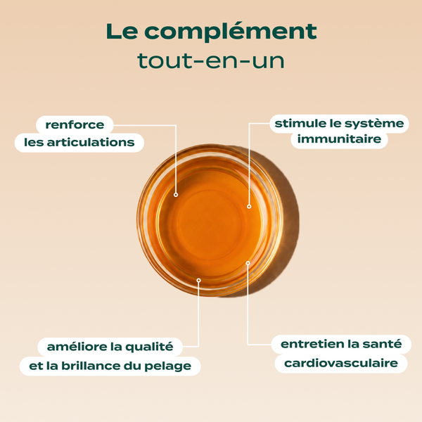 huile-de-saumon