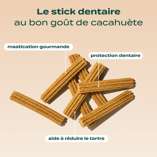 sticks-au-beurre-de-cacahuetes