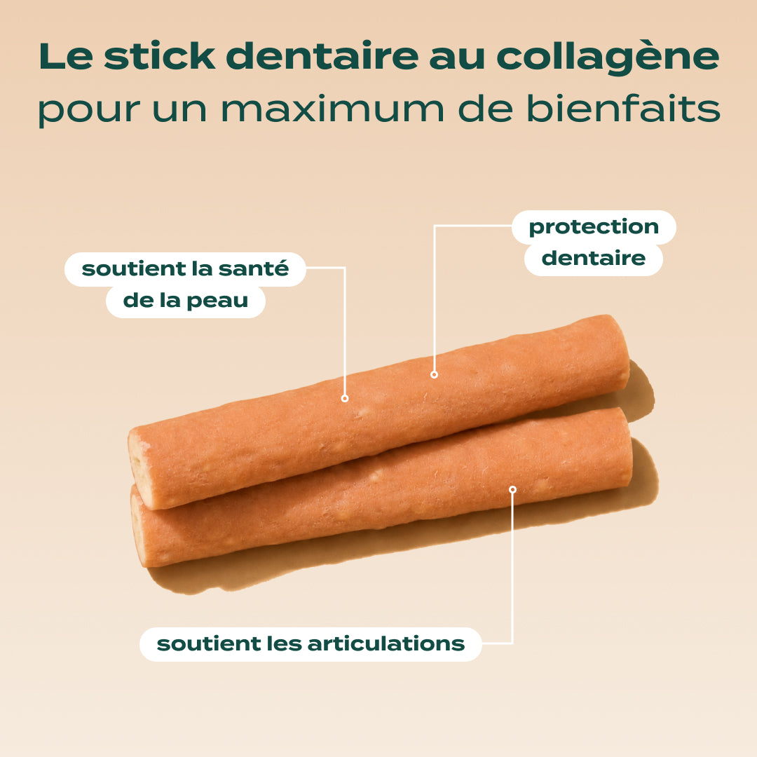 STICKS COLLAGÈNE
