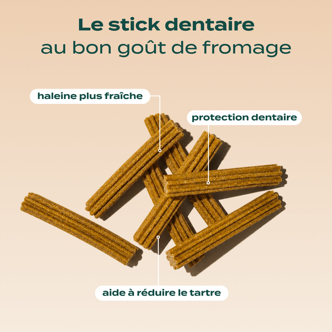 STICKS AU FROMAGE