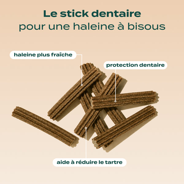 sticks-menthe-sauge