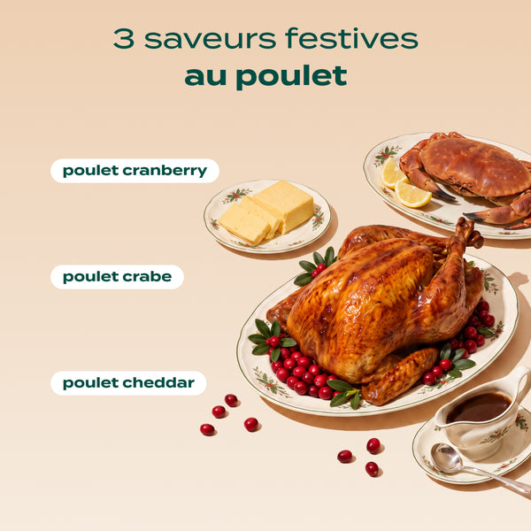 multipack-mini-tubes-poulet