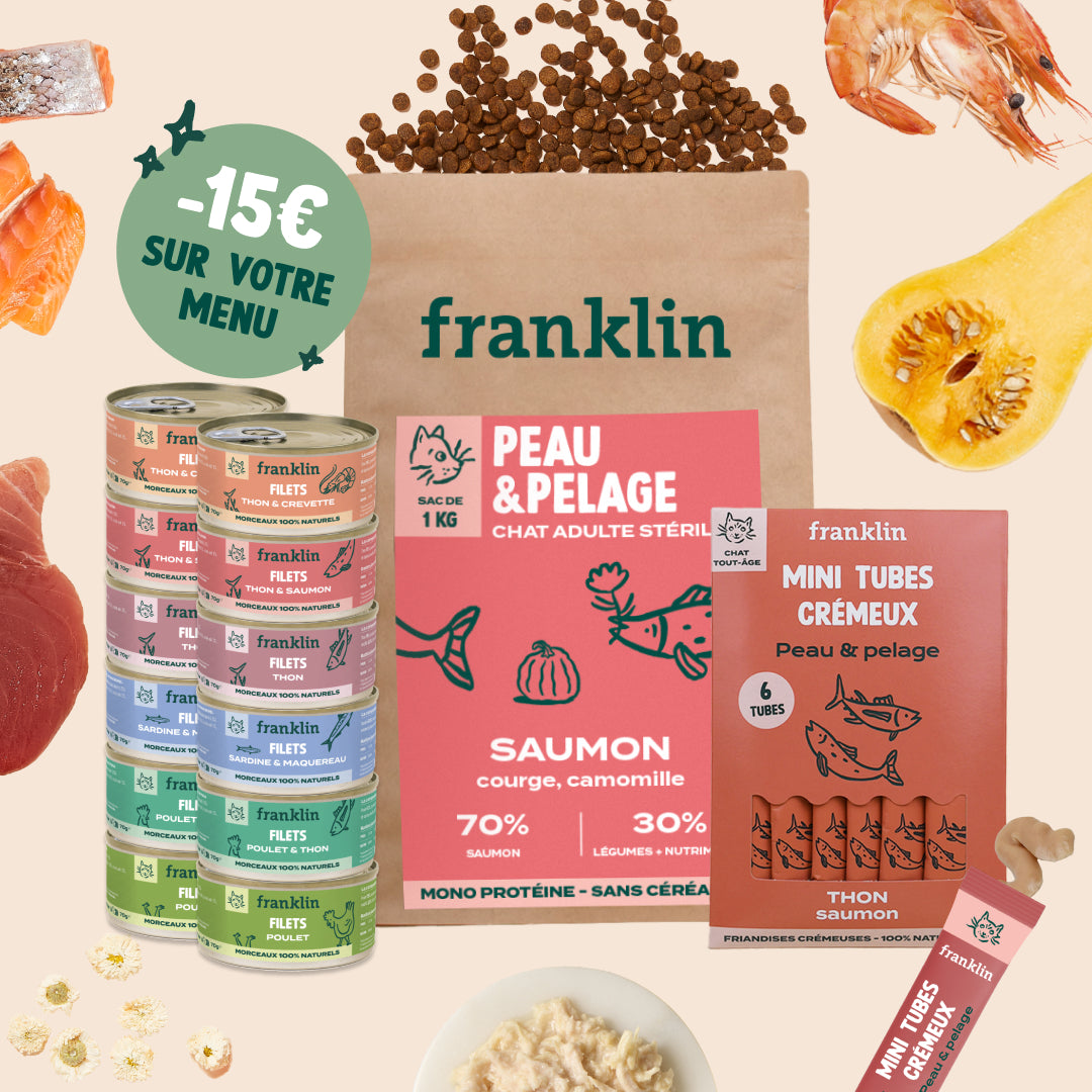 PACK ALLERGIE POUR CHAT