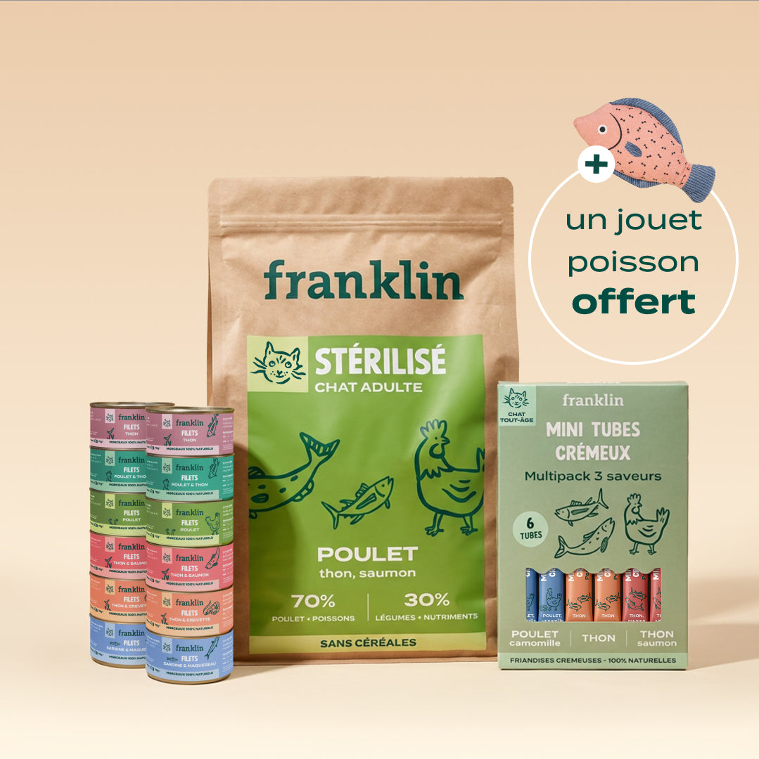 PACK DÉCOUVERTE CHAT