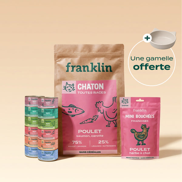 pack-decouverte-chaton