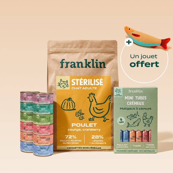 pack-decouverte-chat