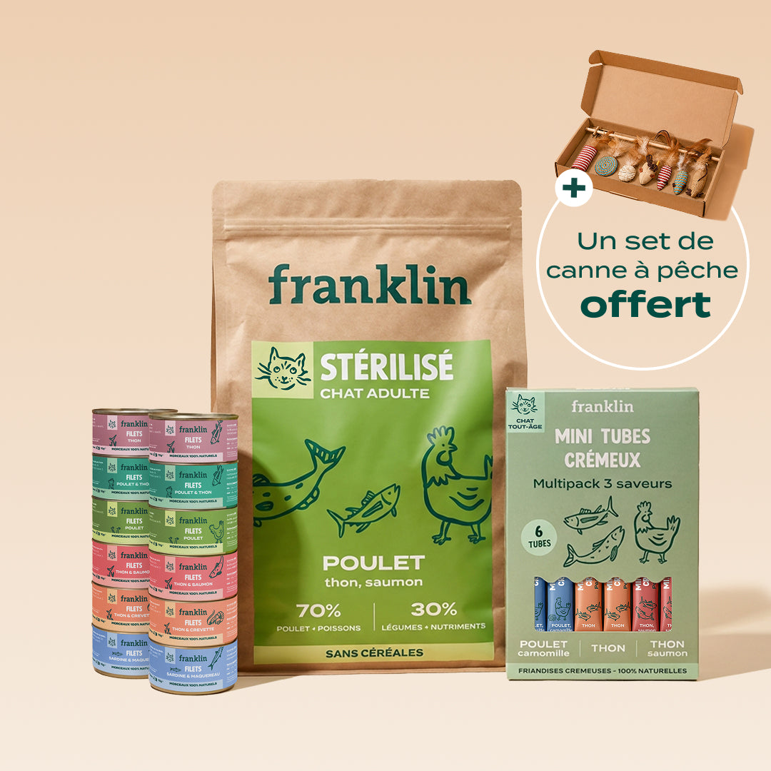 PACK DÉCOUVERTE CHAT