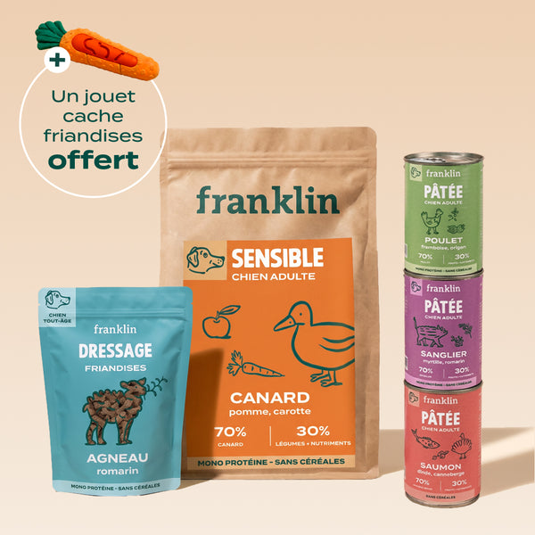 pack-decouverte-chien