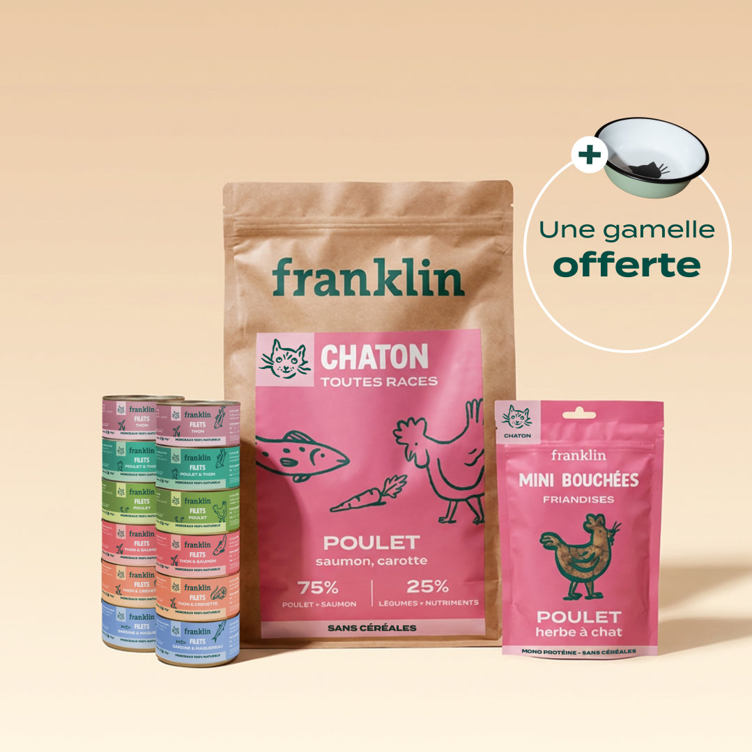PACK DÉCOUVERTE CHATON