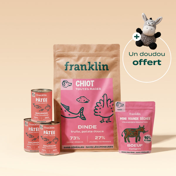 pack-decouverte-chiot