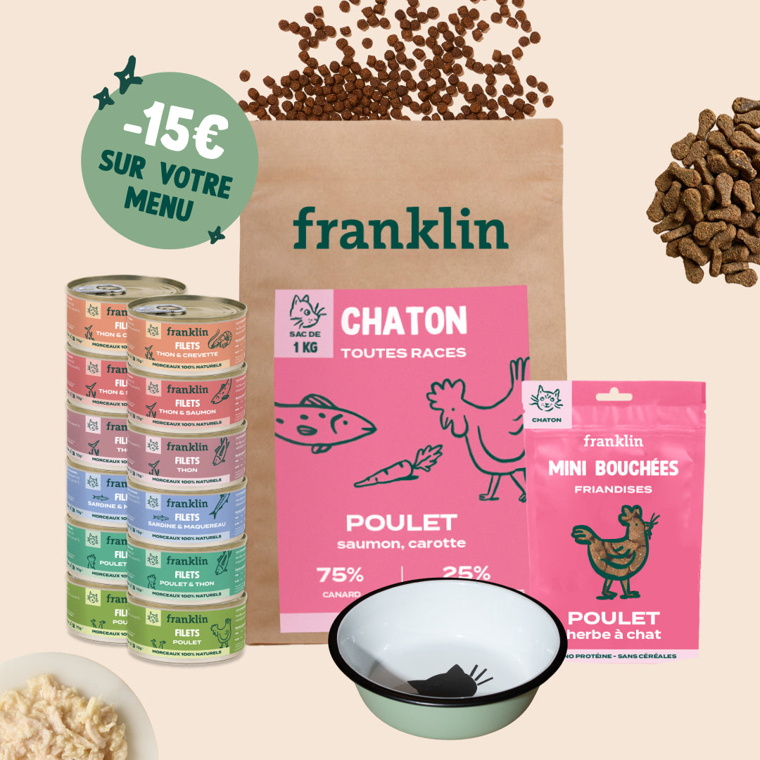 PACK DÉCOUVERTE CHATON