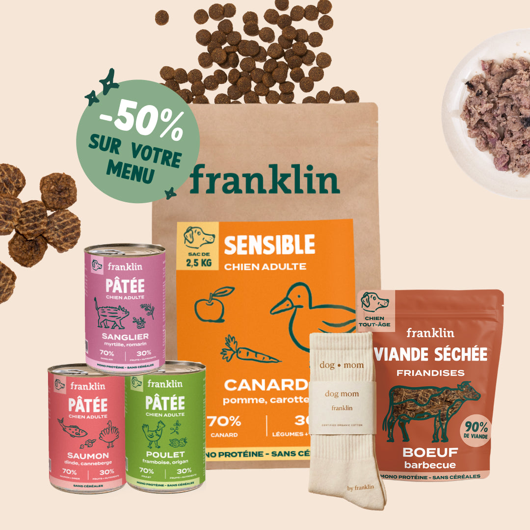 PACK DÉCOUVERTE CHIEN