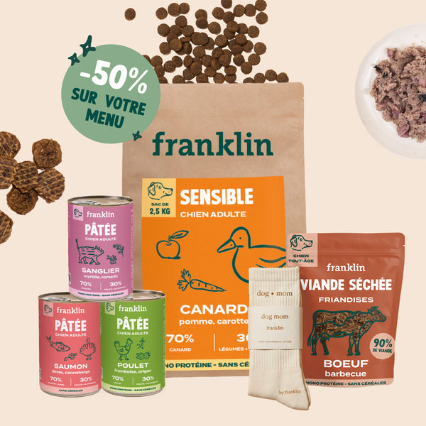 pack-decouverte-chien